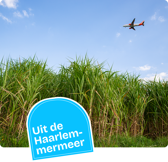 website-foryou uit de haarlemmermeer